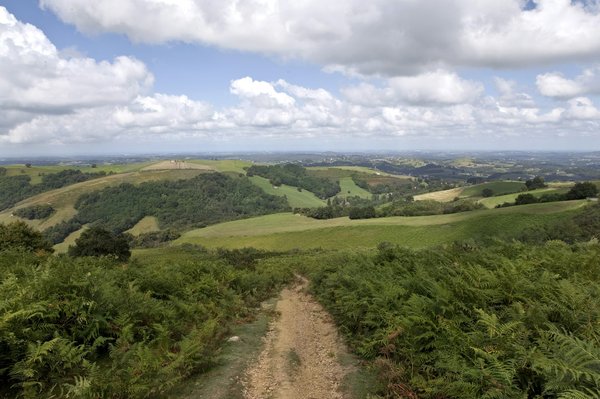Aventure et détente : suivez un guide pratique pour un voyage aux Antilles mémorable